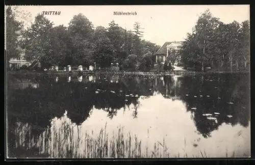 AK Trittau, Blick auf den Mühlenteich