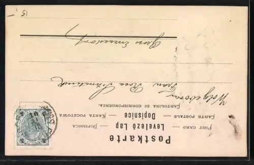 Präge-AK Zwei Schornsteinfeger mit Leitern, Glückliches Neues Jahr