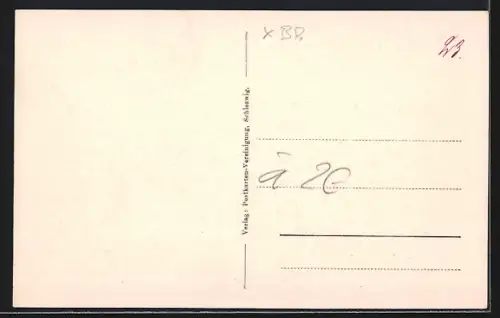 AK Schleswig, Ansicht v. Selker Noor aus