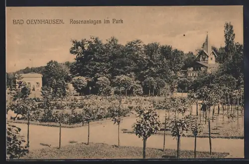 AK Bad Oeynhausen, Rosenanlagen im Park