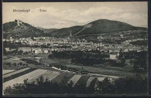 AK Biedenkopf, Totalansicht mit Bergpanorama und Burg aus der Vogelschau