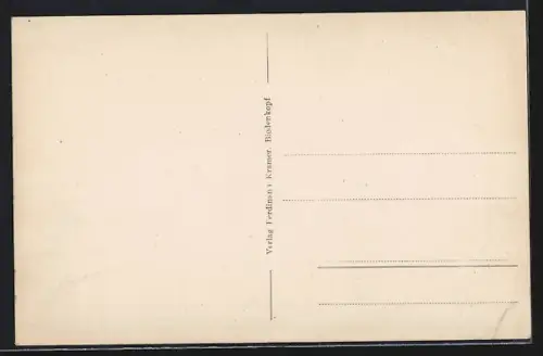 AK Biedenkopf, Totalansicht mit Bergpanorama und Burg aus der Vogelschau