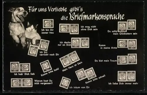 AK Hund und Katze sitzten nebeneinander, Briefmarken in verschiedenen Positionen mit ihren Bedeutungen