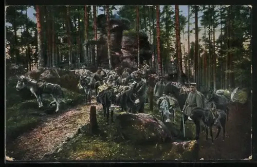 AK Kriegsbilder aus den Vogesen, Esel- und Maultiergruppe
