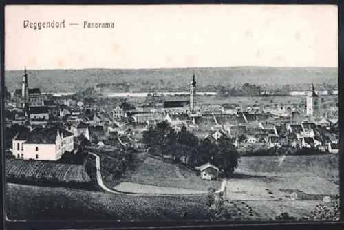 AK Deggendorf, Panorama
