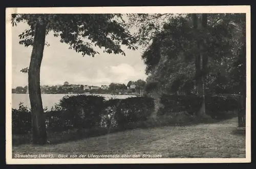 AK Strausberg /Mark, Blick von der Uferpromenade über den Straussee