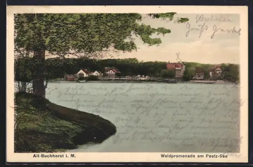 AK Alt-Buchhorst i. M., Waldpromenade am Peetz-See