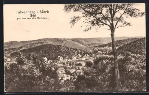 AK Falkenberg i. Mark, Südansicht gesehen von der Karlsburg