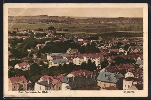 AK Bad Freienwalde /Oder, Panorama