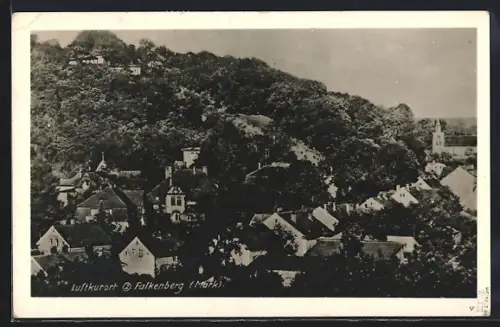 AK Falkenberg /Mark, Ortsansicht, Kirche