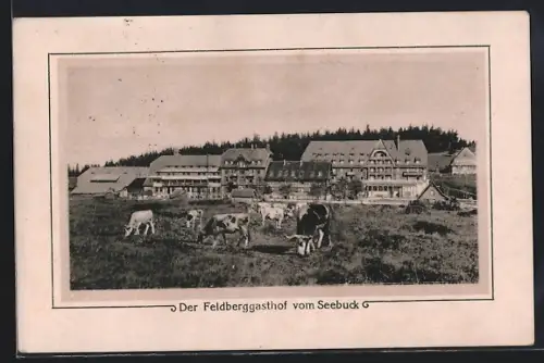 AK Feldberg /Schwarzwald, Feldberggasthof vom Seebuck