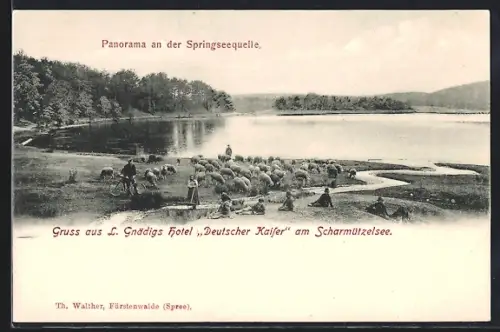 AK Bad Saarow, Panorama an der Springseequelle, Hotel Deutscher Kaiser am Scharmützelsee