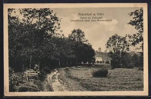 AK Frankfurt a. Oder, Eichwald, Durchblick nach dem Wasserturm