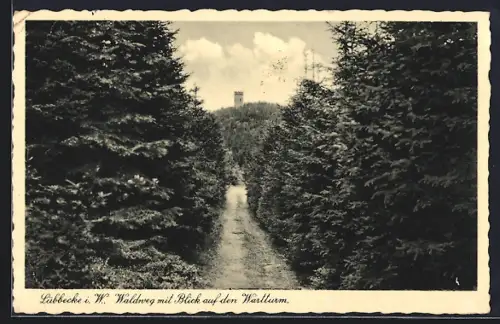 AK Lübbecke i. W., Waldweg mit Blick auf den Wartturm