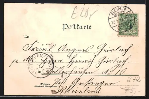 Lithographie Bonn, Marktplatz, Coblenzer Tor, Münster, Weintrauben