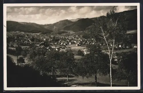 AK Wehr /Baden, Ortsansicht, Berge