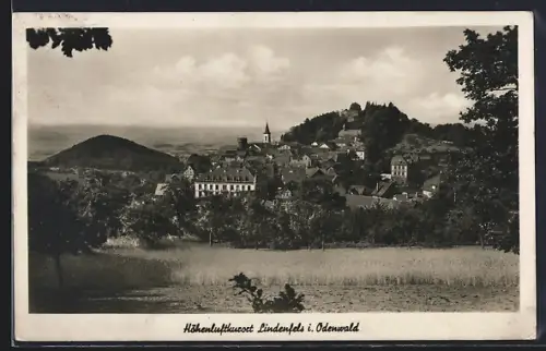 AK Lindenfels i. Odenwald, Gesamtansicht, Burg, Kirche