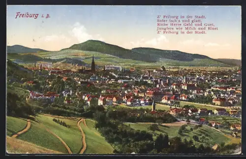 AK Freiburg i. B., Stadtansicht, Münster