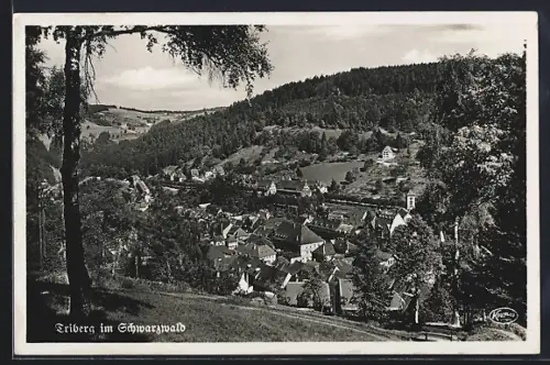 AK Triberg im Schwarzwald, Ortsansicht, Schwarzwaldlandschaft