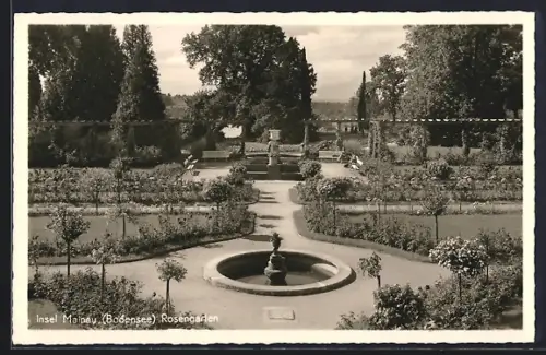 AK Insel Mainau /Bodensee, Rosengarten