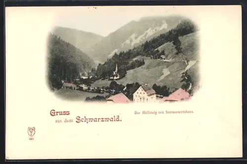 AK Höllsteig /Schwarzwald, Restaurant Sternenwirtshaus, Talansicht