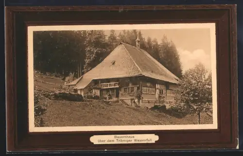 AK Triberg, Bauernhaus über dem Triberger Wasserfall