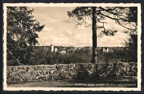 AK Pullach, Waldweg mit Sicht nach Grünwald
