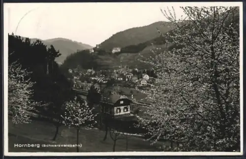 AK Hornberg /Schwarzwaldbahn, Talansicht, Bahnstrecke, umgebende Berge
