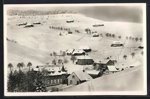 AK Muggenbrunn /Schwarzwald, Gasthaus und Pension Grüner Baum, Inh. Joseph Wissler