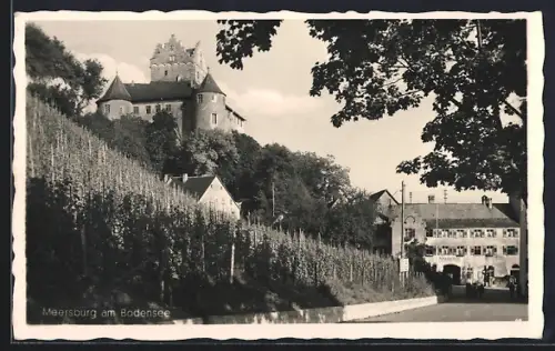 AK Meersburg am Bodensee, Burg, Weinberge, Gasthaus