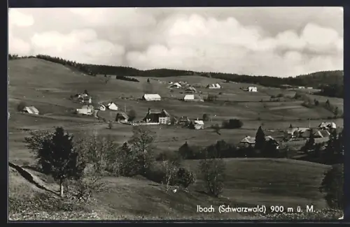 AK Ibach /Schwarzwald, Ortsansicht mit verstreuten Höfen und Wiesen