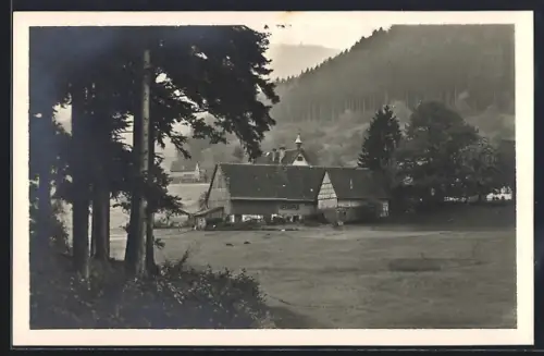 AK Herrenalb /Schwarzwald, Bauernhof im Gaistal