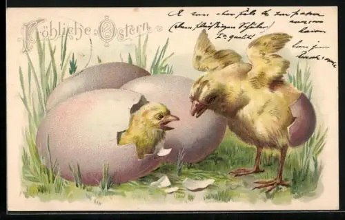 Präge-AK Osterküken schaut aus einem Osterei