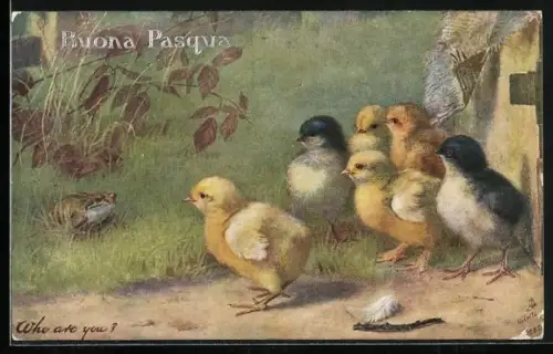 AK Osterküken beobachten einen Frosch, Buona Pasqua