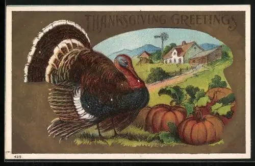 Präge-AK Truthahn und Kürbisse vor einem ländlichen Haus, Thanksgiving