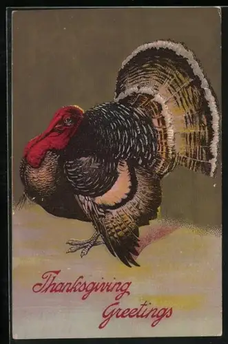 AK Prächtiger Truthahn vor goldenem Hintergrund, Thanksgiving Greetings