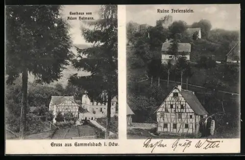 AK Gammelsbach i. Odw., Gasthaus von Adam Hofmann, Ruine Freienstein