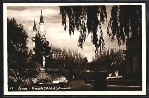 AK Damascus, Tekieh and Solimanieh mosque
