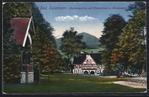 AK Bad Salzbrunn, Musikpavillon mit Wiesenhaus und Hochwald
