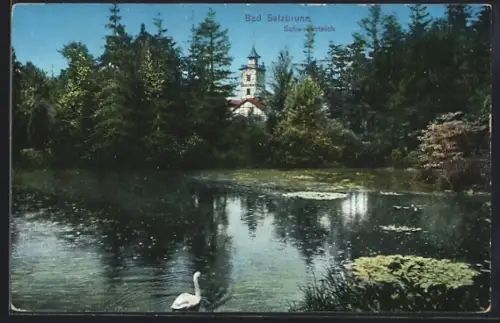 AK Bad Salzbrunn, Schwan auf dem Schwedenteich