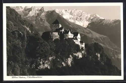 AK Vaduz, Blick auf das Schloss