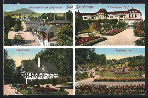 AK Bad Salzbrunn, Wiesenhaus, Rosengarten, Schlesischer Hof, Elisenhalle mit Hochwald