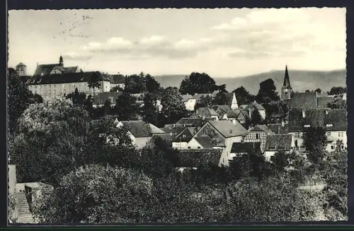 AK Iburg /Teutoburger Wald, Blick über die Dächer vom Ort