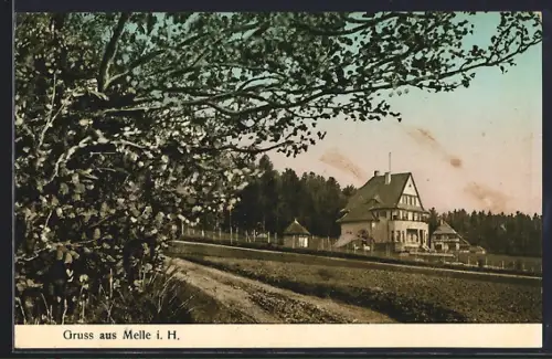AK Melle i. H., Partie am Ortsrand