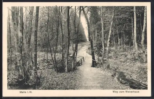 AK Melle i. H., Weg zum Weberhaus