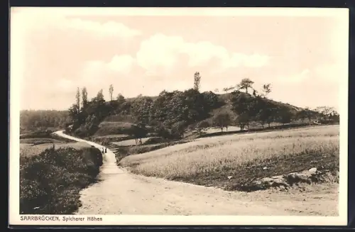 AK Saarbrücken, Spicherer Höhen