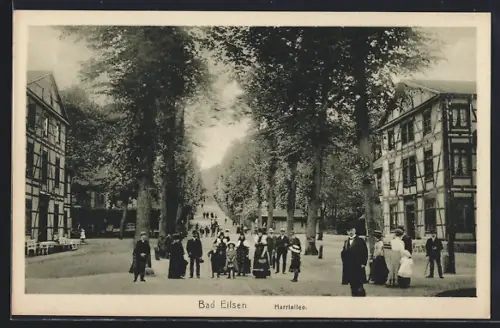 AK Bad Eilsen, Harriallee