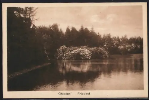 AK Hamburg-Ohlsdorf, Friedhof