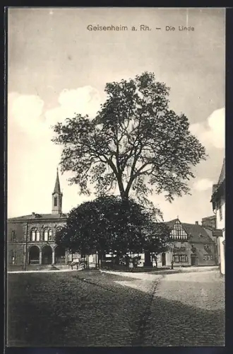 AK Geisenheim a. Rh., Blick auf die Linde