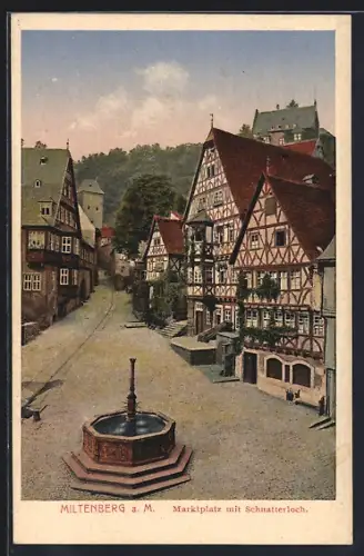 AK Miltenberg, Marktplatz mit Schnatterloch und Brunnen